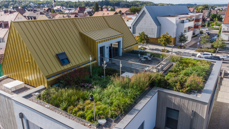 Cubiertas Verdes Extensivas